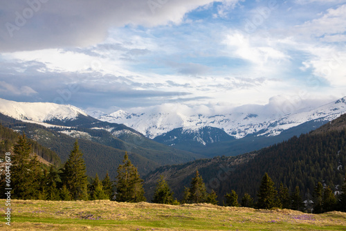 Landscape with the Rodna mountains seen from the Prislop pass - Romania © sebi_2569