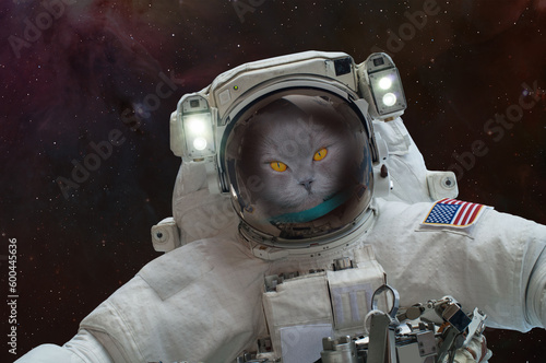 Cat Astronaut in outer space with Spacewalk. "Elements of this image furnished by NASA"