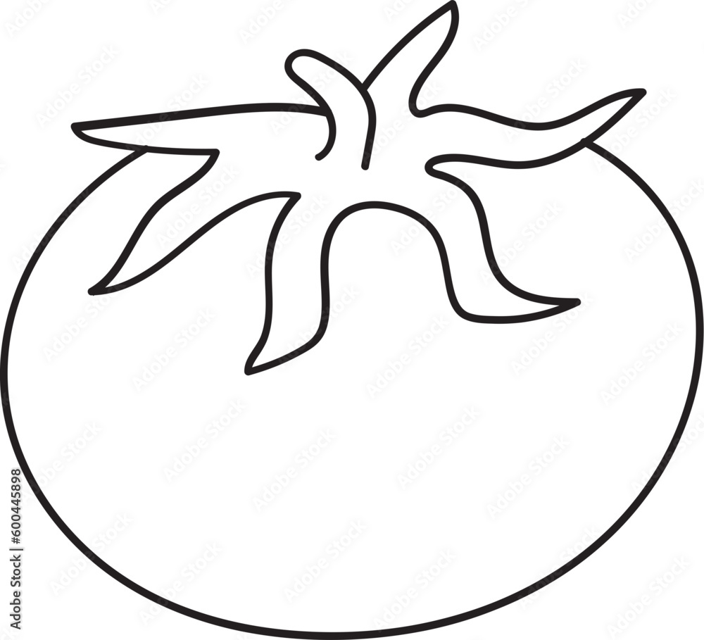 Obraz premium Vegetable Outline