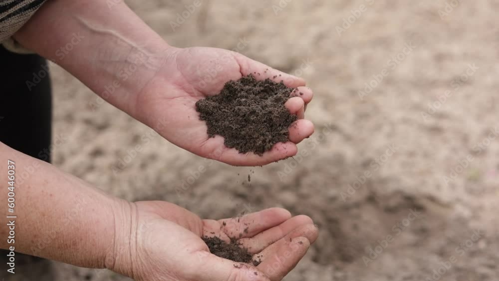 Mature agronomist's hands controlling and checking quality and fertiliz of the soil before planting in an ecological crops. Bio agriculture and eco friendly farming cultivation concept. Agribusiness. Mature agronomist's hands controlling and checking quality and fertiliz of the soil before planting in an ecological crops. Bio agriculture and eco friendly farming cultivation concept. Agribusiness.