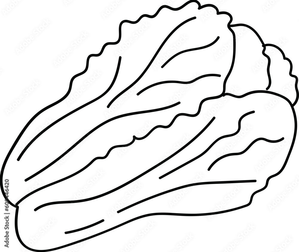 Vegetarian Vegetarian