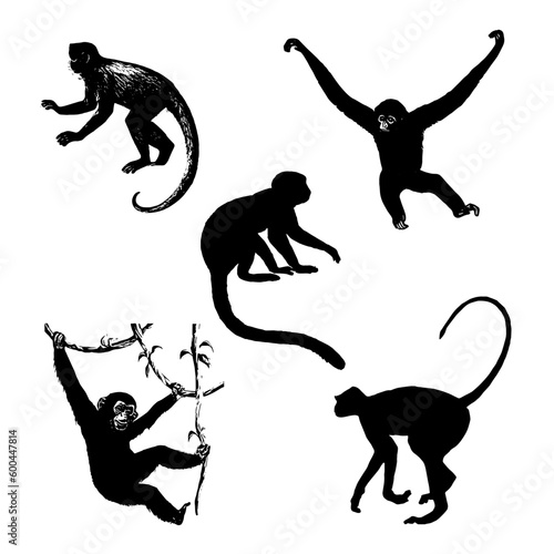 silhouettes of a monkeys set illustration vector 