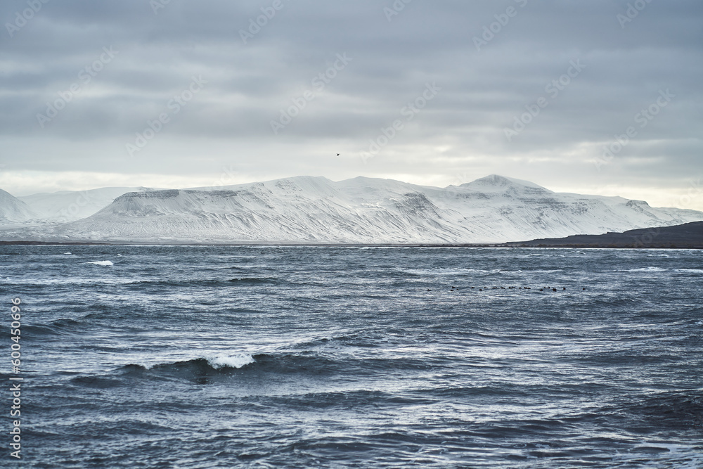 Snowy mountains in the sea of Iceland.