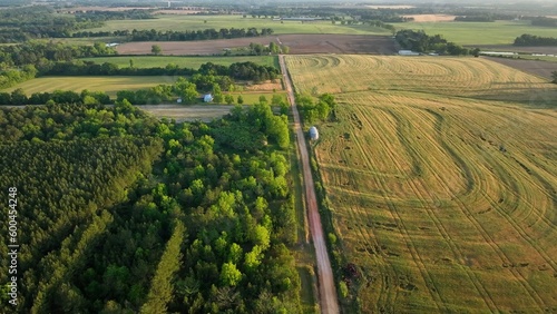 Beautiful Southern landscape in Alabama in morning sunlight with green farm fields and country dirt roads