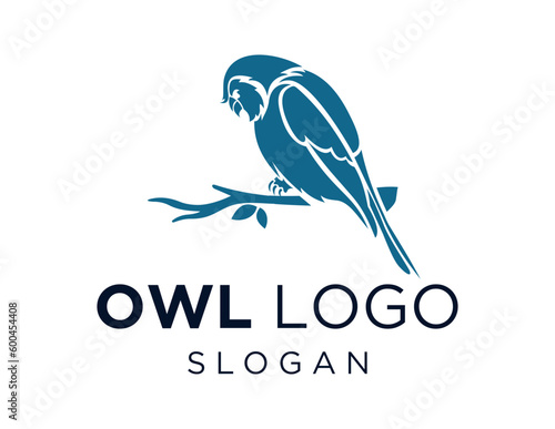 Logo design about Owl on a white background. created using the CorelDraw application. photo