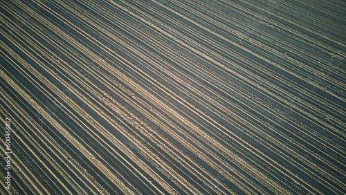 Furrows row pattern in a plowed field prepared for planting crops in spring. Horizontal view in perspective