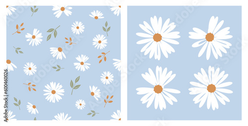 Seamless pattern with daisy flower on blue backgrounds vector.