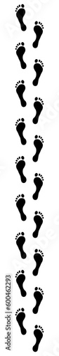 vertical upright of footprint on white transparent background