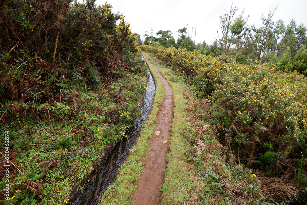 Portugal - Madeira - Achadas da Cruz - Levada do Moinho Portugal - Madeira - Achadas da Cruz - Levada do Moinho