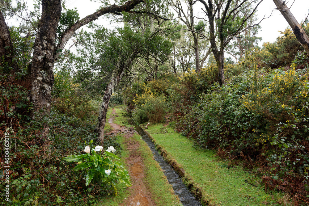 Portugal - Madeira - Achadas da Cruz - Levada do Moinho Portugal - Madeira - Achadas da Cruz - Levada do Moinho