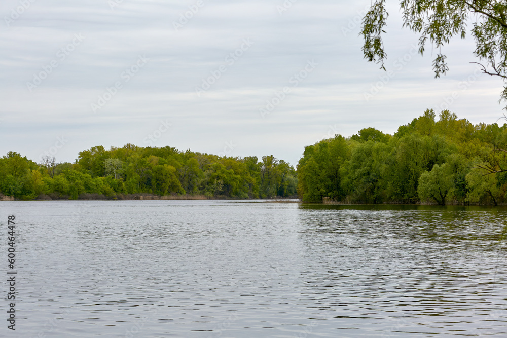river landscape of a large river and trees
