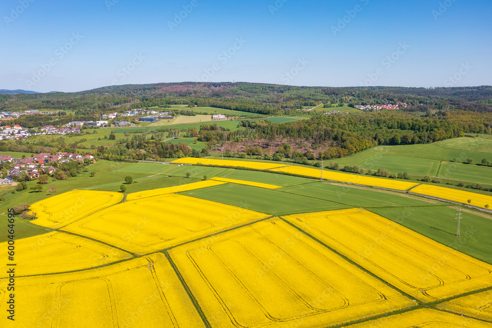 Aerial view of flowering rapeseed fields in the Taunus near Taunusstein/Germany