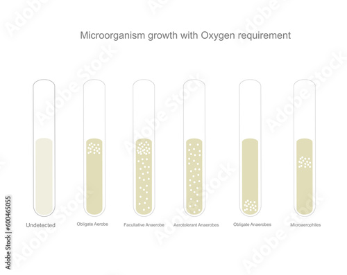 The bacterial identification of microorganism growth with oxygen requirement that show the bacterial type : Obligate Aerobe,Facultative Anaerobe,Aerotolerant Anaerobe,Obligate anaerobe,Microaerophiles