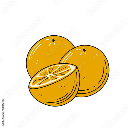 Oranges fruits sketch. Vector hand drawn illustration.