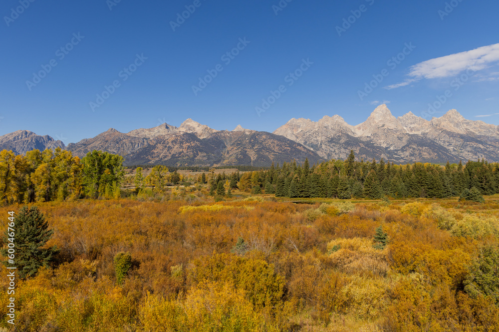 Scenic Autumn Landscape in Grand Teton National Park Wyoming