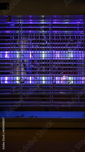 electric indoor mosquito and insect killer catching and killing lots of flying ants in a dark room vertical composition