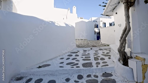 A Tale of White and Stone: Mykonos' Captivating Houses and Paved Streets