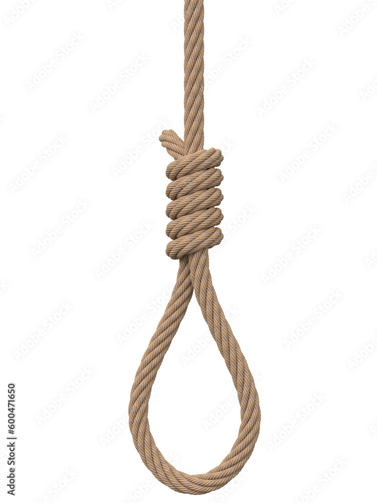 rope with hangman's noose 3d rendering rope with hangman's noose 3d rendering