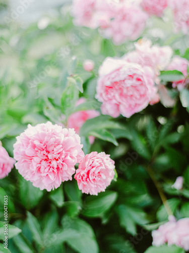 Candid lifestyle portraiture 