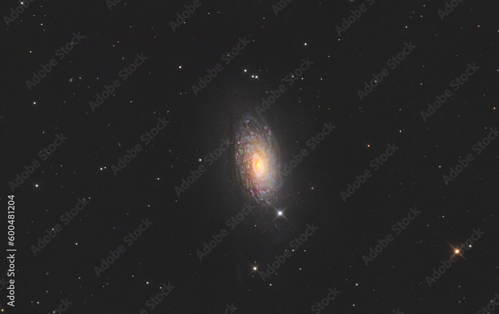 Naklejka premium Sunflower galaxy in canes venatici constellation, distant from us about 29 million light years; taken with my telescope.