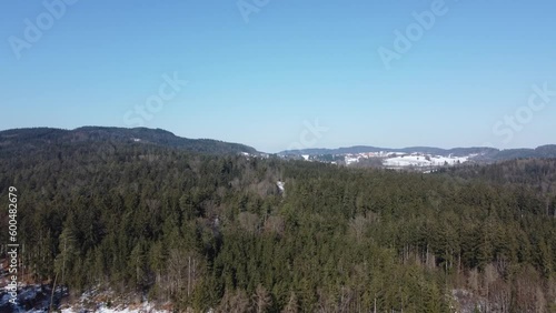 Beautiful view of the forest, mountains and trees photo