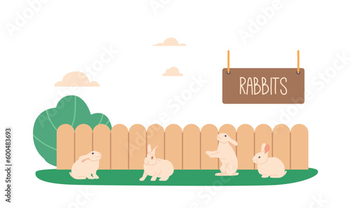 Rabbits Frolic On Lush Meadow Grasses, Nibbling On Greenery While Hopping And Playing In Their Natural Habitat
