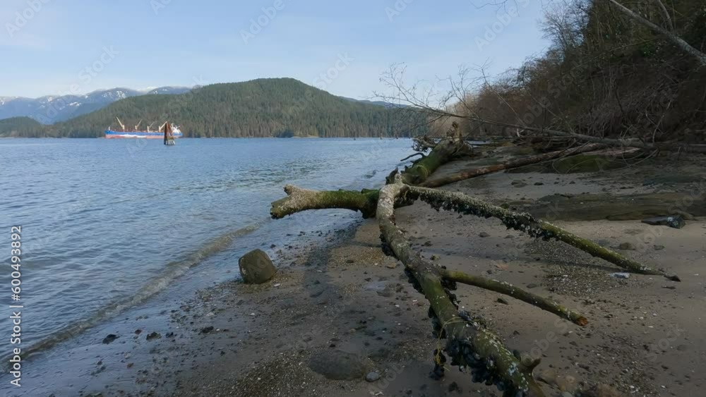Scenic Shore on the Pacific Ocean with mountain landscape in background. Port Moody, Vancouver, British Columbia, Canada. Scenic Shore on the Pacific Ocean with mountain landscape in background. Port Moody, Vancouver, British Columbia, Canada.
