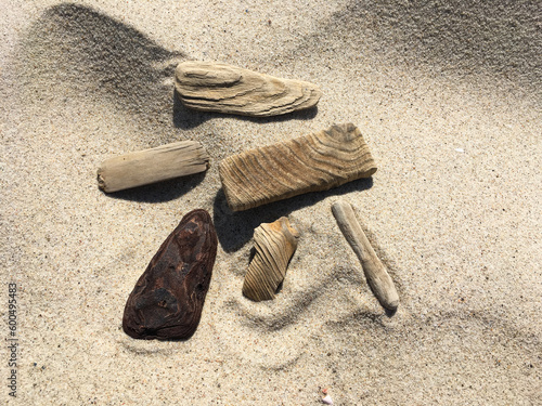 wooden sculptures on the beach