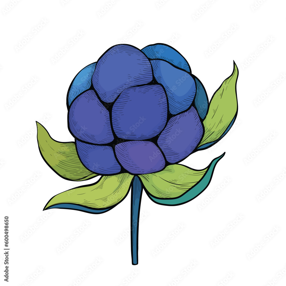 Obraz premium Blackberry icon colored blue. Hatching berry violet.