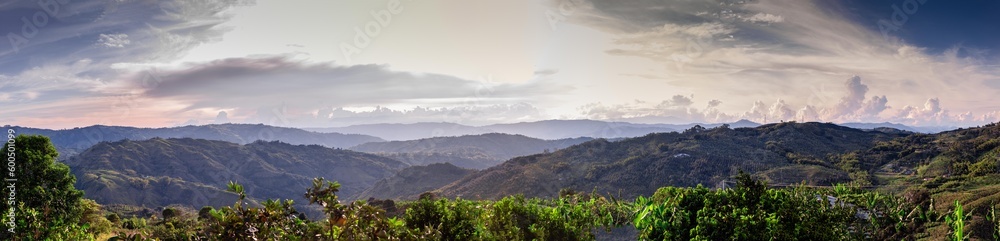 Fototapeta premium Perfect coffee colombian landscapes in the mountains