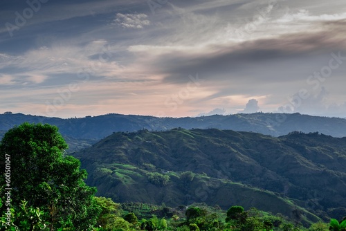Perfect coffee colombian landscapes in the mountains