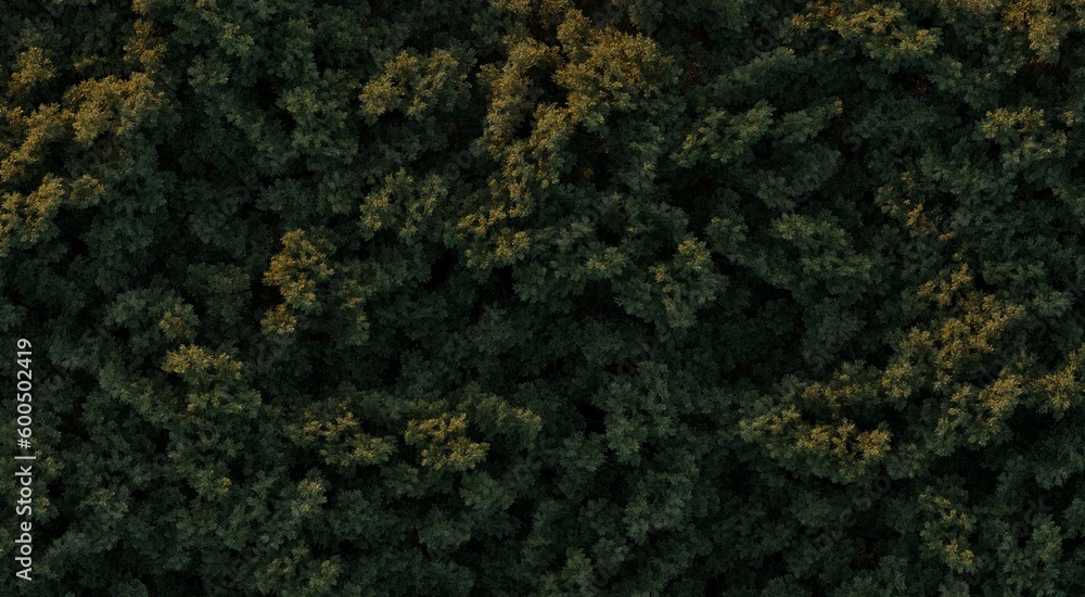 trees in the forest, top view, area view, isolated on white background, 3D illustration, cg render