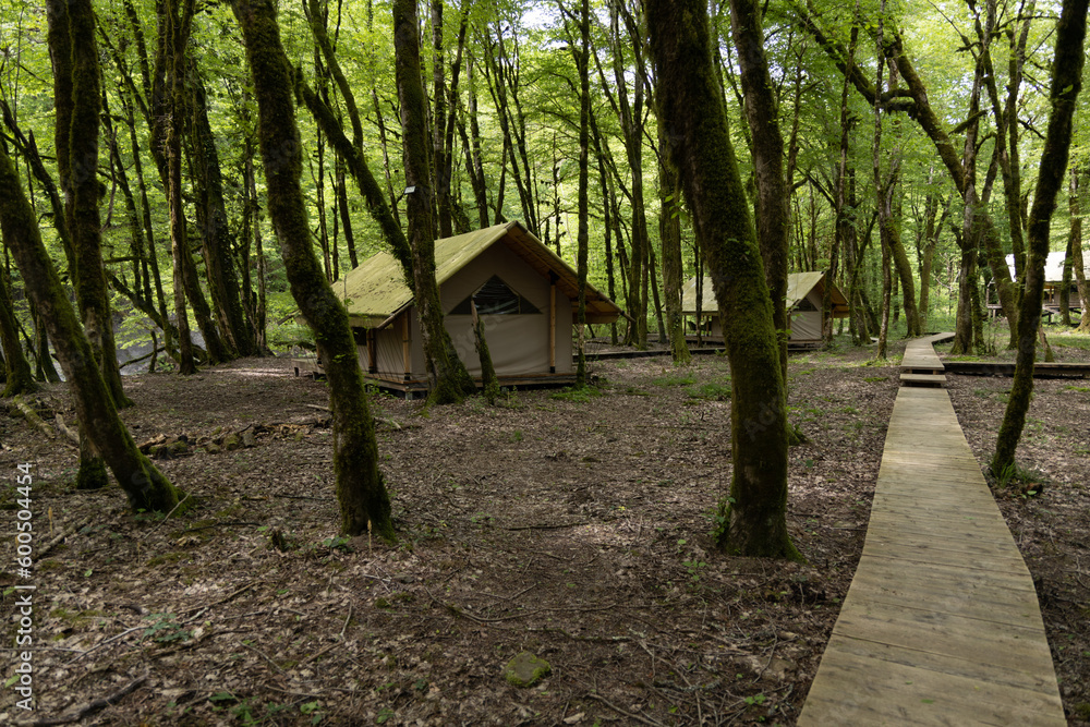 glamping in the green forest, camping in a tent glamping in the green forest, camping in a tent