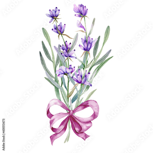 Lavender Watercolor Illustration. Provence Herbs Hand Painted isolated on white background.  Perfect for wedding invitations  bridal shower and  floral greeting cards