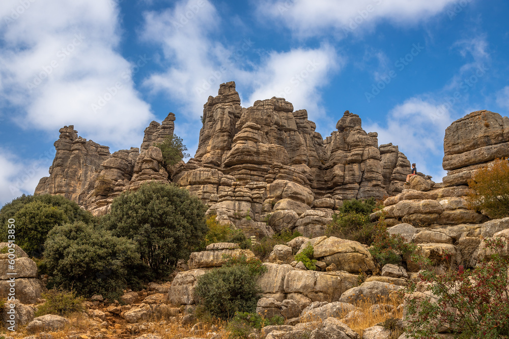 Fototapeta premium Beautifull exposure of the El Torcal de Antequera, wich is known for its unusual landforms, and is regarded as one of the most impressive karst landscapes in Europe located in Sierra del Torcal, Anteq