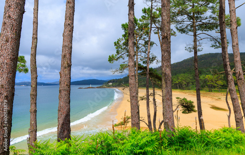 beach in Galicia   atlantic ocean  beach and forest