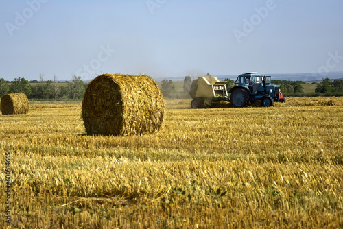 Harvested wheat field with large round bales of straw in summer. Tractor forming bales is visible background. Farmland with blue sky. Copy space. Close-up. Selective focus.