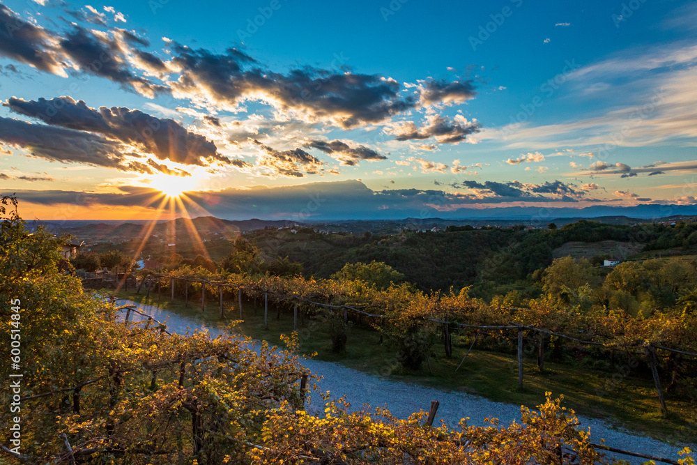 Naklejka premium Colorful sunset in the vineyards at the border between Italy and Slovenia