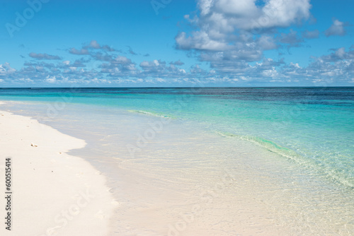 Beautiful tropical white sand beach, Seychelles. © Nancy Pauwels