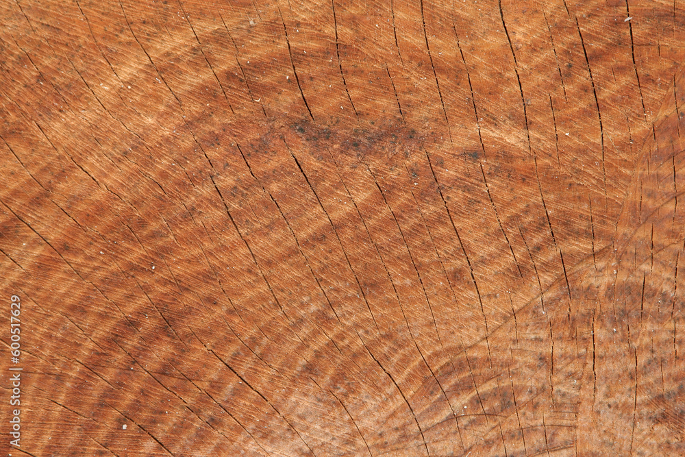 Naklejka premium wood texture