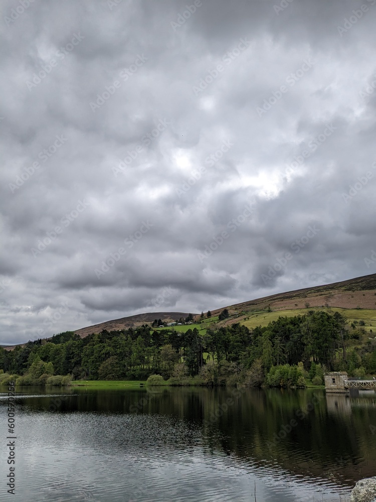 Nature park and ocean with cloudy sky 