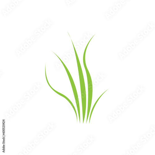 Green grass. Spring. Gazon. Vector icon. web version.