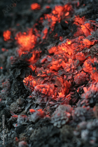 smolder coals with small depth of focus