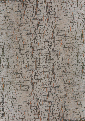 alder's bark texture