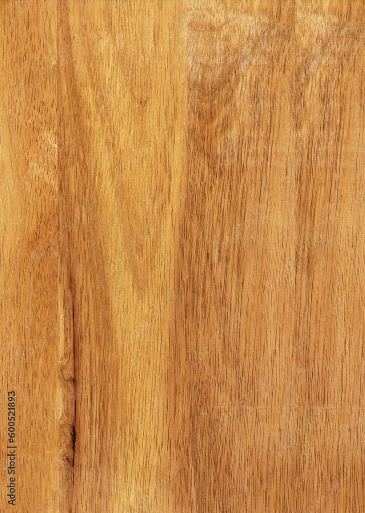Obraz premium high resolution hevea wood texture