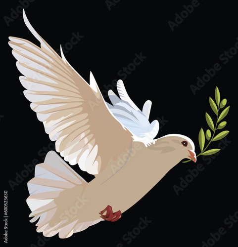 white dove with olive branch
