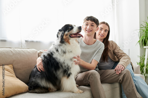 Positive and blurred same sex couple in casual clothes looking and petting cute Australian shepherd dog while sitting on couch together in living room at home