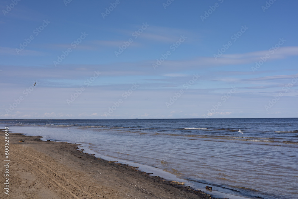 beach and sea