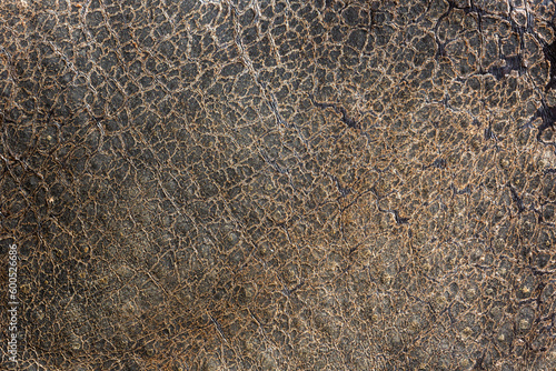 rhinoceros leather texture