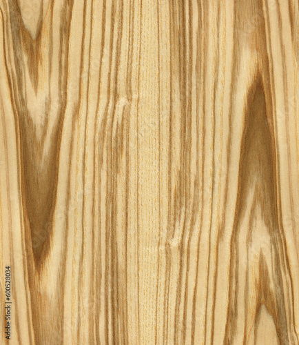 high resolution texture of ash tree